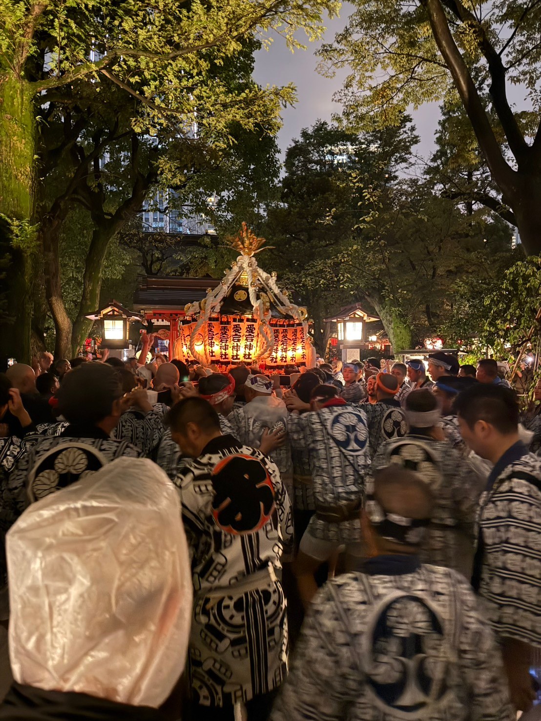 提灯を灯して夜の境内を進む御神輿と法被姿の担ぎ手